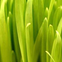 快速故障转移的CC在线压力测试