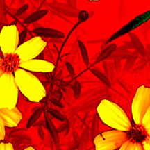 网络ddos攻击软件