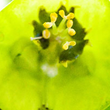 ddos网页在线攻击